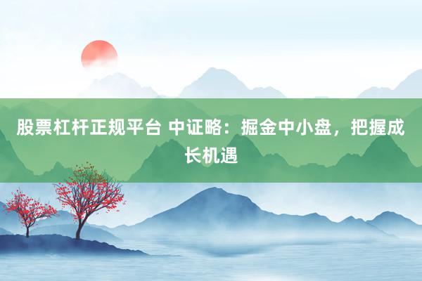 股票杠杆正规平台 中证略：掘金中小盘，把握成长机遇
