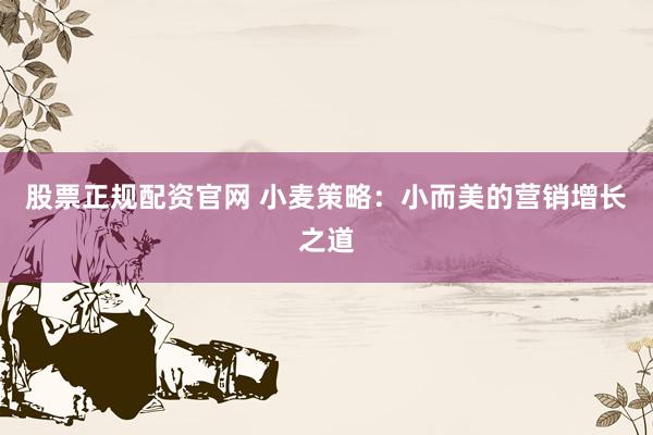 股票正规配资官网 小麦策略：小而美的营销增长之道