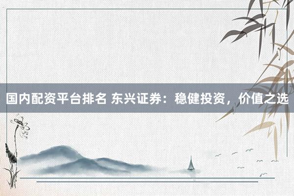 国内配资平台排名 东兴证券：稳健投资，价值之选