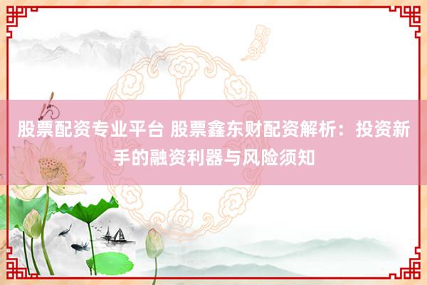 股票配资专业平台 股票鑫东财配资解析：投资新手的融资利器与风险须知