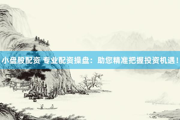 小盘股配资 专业配资操盘：助您精准把握投资机遇！