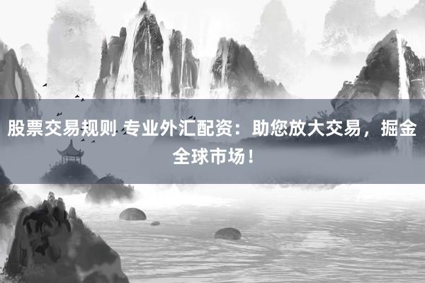 股票交易规则 专业外汇配资：助您放大交易，掘金全球市场！