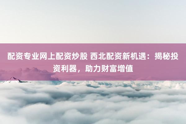 配资专业网上配资炒股 西北配资新机遇：揭秘投资利器，助力财富增值