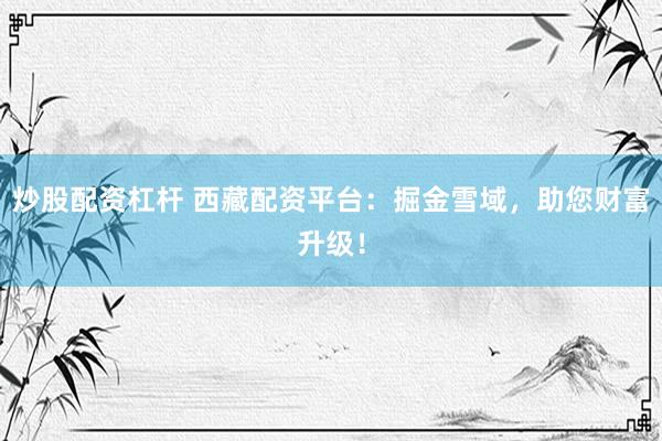 炒股配资杠杆 西藏配资平台：掘金雪域，助您财富升级！