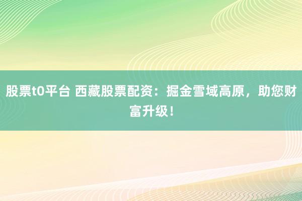 股票t0平台 西藏股票配资：掘金雪域高原，助您财富升级！
