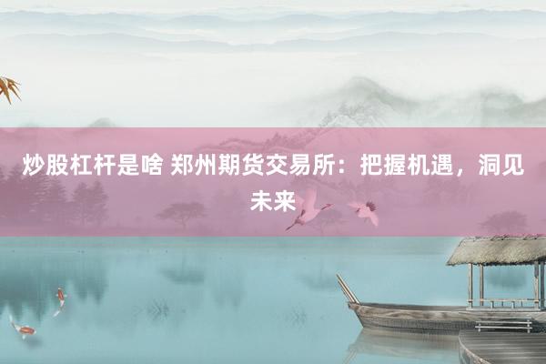 炒股杠杆是啥 郑州期货交易所：把握机遇，洞见未来