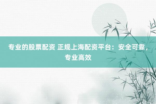 专业的股票配资 正规上海配资平台:安全可靠,专业高效