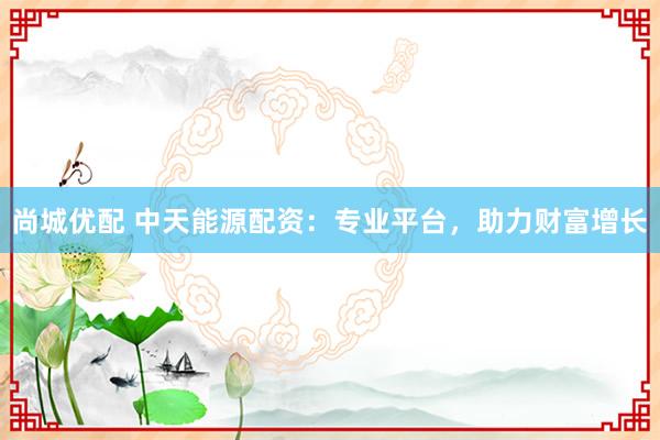 尚城优配 中天能源配资：专业平台，助力财富增长