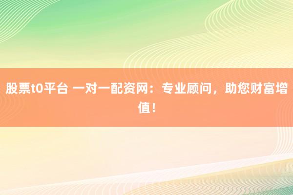 股票t0平台 一对一配资网：专业顾问，助您财富增值！